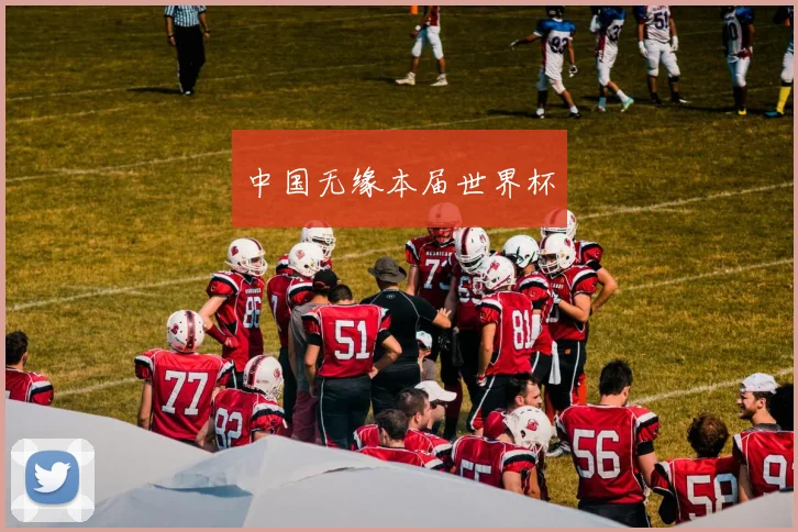 中国无缘本届世界杯
