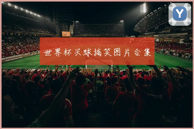 世界杯买球搞笑图片合集