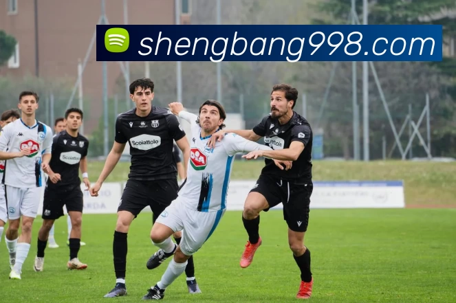 奇异果app官网入口(中国)有限公司 - 官网品牌故事