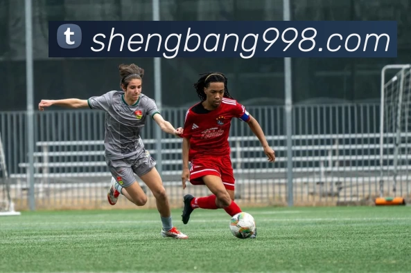 奇异果app官网入口(中国)有限公司 - 官网服务体系