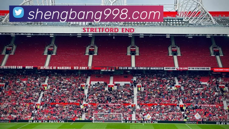 多媒体互动体验